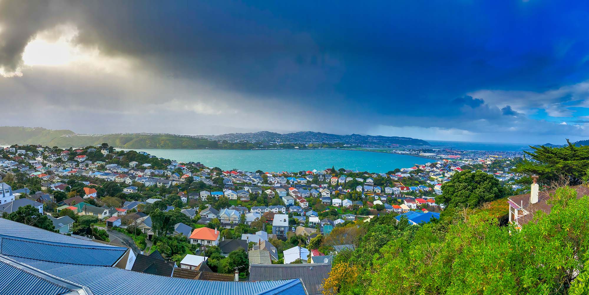 new-zealand-city-hero